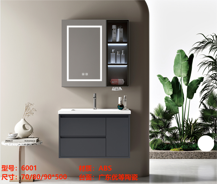 Bathroom vanity model 6001